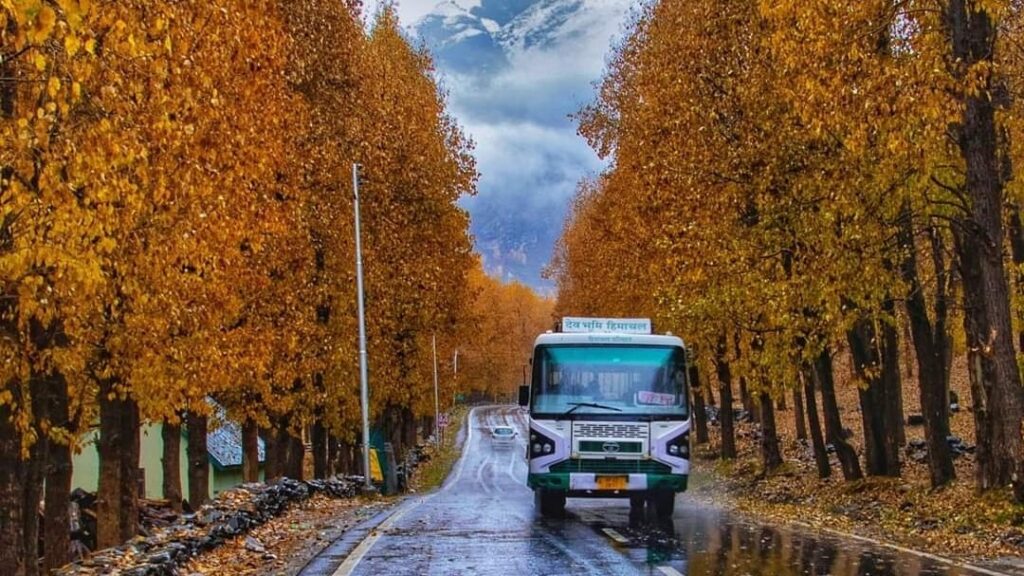 HRTC to provide 10 new vehicles  to Lahaul Spiti to replace the zero value worn out buses HIMACHAL HEADLINES