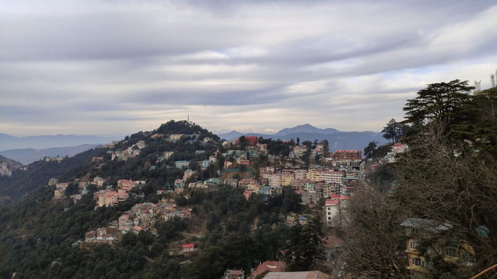 BJP appointed ward migrant in charge HIMACHAL HEADLINES