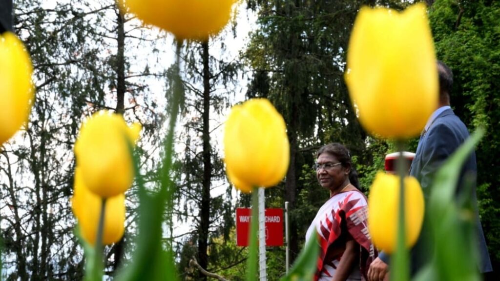 Rashtrapati Niwas Shimla's Tulip Garden opened to the public by President Droupadi Murmu Rashtrapati Niwas Shimla's Tulip Garden opened to the public by President Droupadi Murmu HIMACHAL HEADLINES