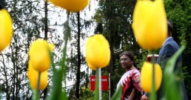 Rashtrapati Niwas Shimla's  Tulip Garden opened to the public by President Droupadi Murmu HIMACHAL HEADLINES