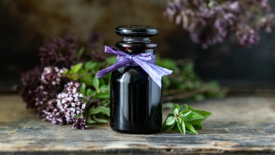 With installation of 61 distillation units Himachal to become number one in production of wild marigold essential oil HIMACHAL HEADLINES