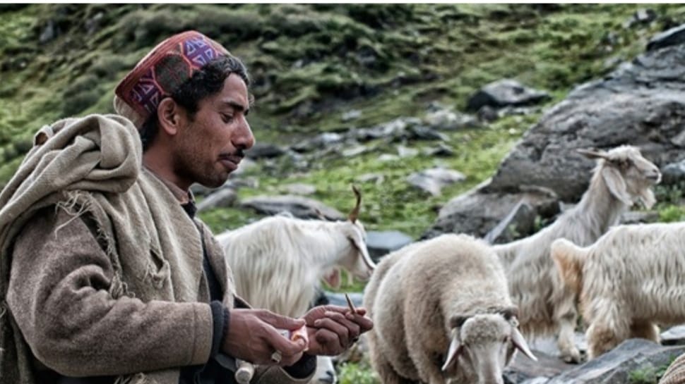 Himachal Government to prioritize filling up posts in Tribal areas Himachal Government to prioritize filling up posts in Tribal areas HIMACHAL HEADLINES
