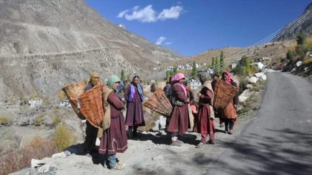 All women of Spiti Valley to get Rs 1500 per month All women of Spiti Valley to get Rs 1500 per month HIMACHAL HEADLINES