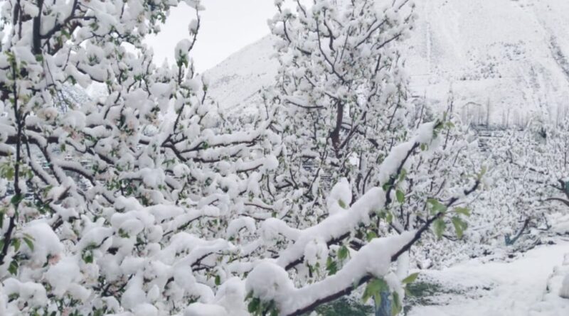 Himachal farmers suffering due to unseasonal rain & snow: CPI(M) HIMACHAL HEADLINES
