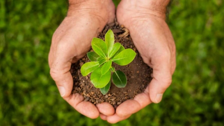 Himachal mulls bringing Australian technologies for plant health and productivity HIMACHAL HEADLINES