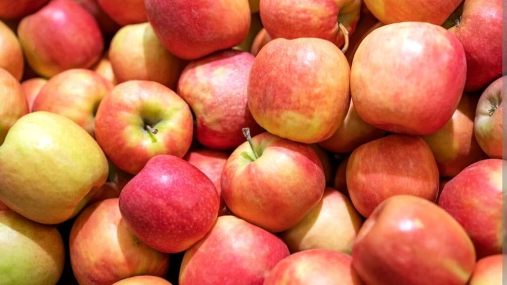 Jairam Thakur thanked Central Government for imposing a 50% import duty on apples Jairam Thakur thanked Central Government for imposing a 50% import duty on apples HIMACHAL HEADLINES