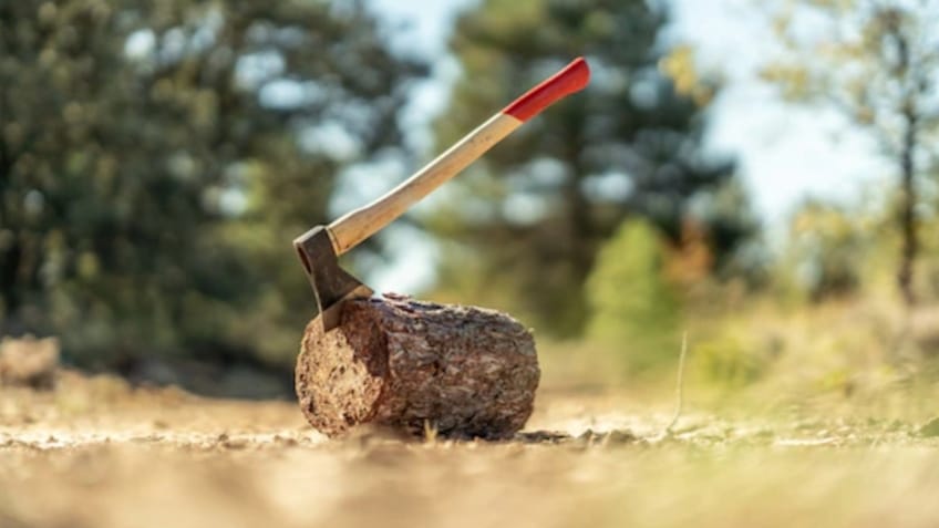 Green felling without permission 200 trees axed in Himachal Green felling without permission 200 trees axed in Himachal HIMACHAL HEADLINES