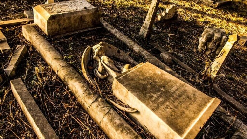 HC directs govt to form committee for joint inspection of ASI-protected heritage cemetery at Kanlog HC directs govt to form committee for joint inspection of ASI-protected heritage cemetery at Kanlog HIMACHAL HEADLINES