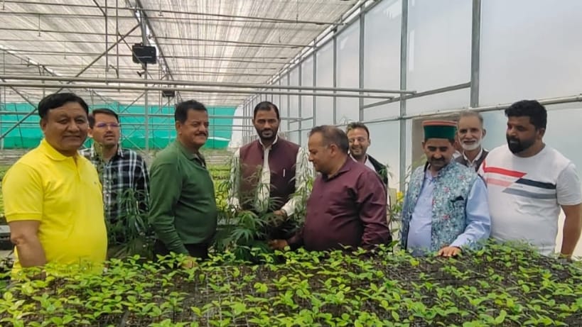 Committee constituted to recommend non-narcotic use of cannabis : Jagat Singh Negi HIMACHAL HEADLINES