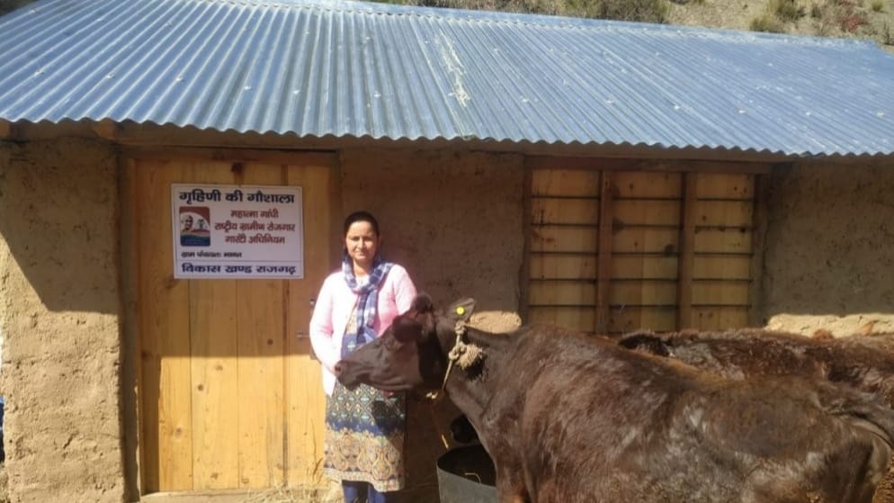 Grihani ki Goshala a farm diversification initiative multiplying income of women in Rajgarh Sirmour HIMACHAL HEADLINES