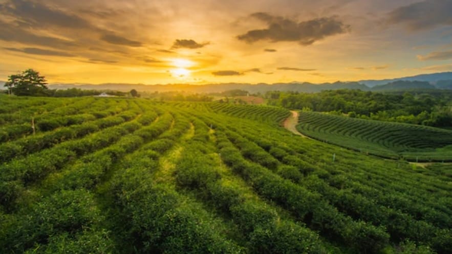 Himachal to improve the economy of farmers through the 'Him Unnati' scheme HIMACHAL HEADLINES