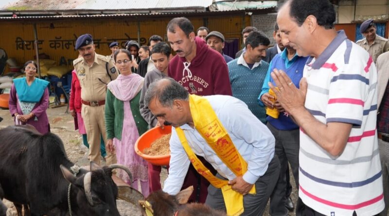 Mukhya Mantri Seva Sankalp Helpline-1100 to be linked with the rescue of stranded animals HIMACHAL HEADLINES