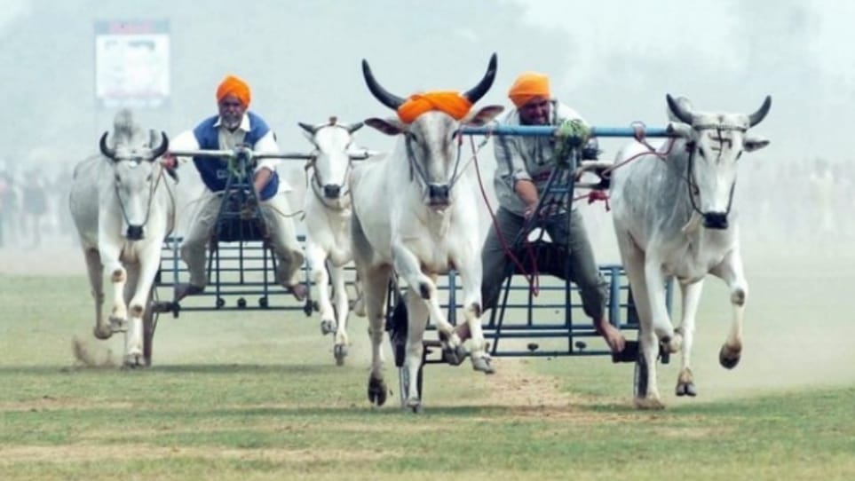 Himachal to hold Rural Olympiad Games in September HIMACHAL HEADLINES