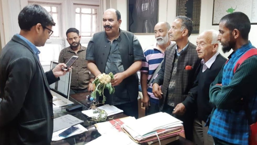 Special compensation should be given to farmers for damages caused by hailstorms: Dr. Tanwar Special compensation should be given to farmers for damages caused by hailstorms: Dr. Tanwar HIMACHAL HEADLINES