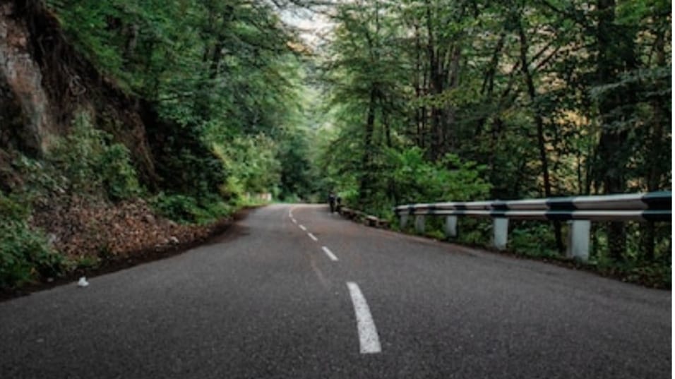 Forest Land Diversion 29 cases approved by GoI : CM Sukhu HIMACHAL HEADLINES