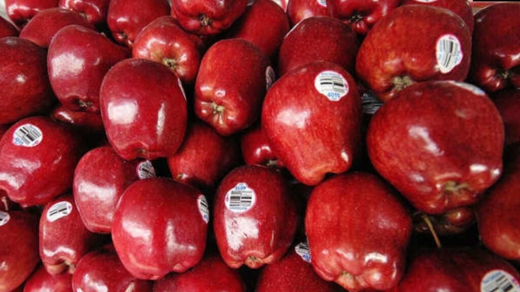 Himachal Government passes new guidelines for apple auction in APMC market yards Himachal Government passes new guidelines for apple auction in APMC market yards HIMACHAL HEADLINES