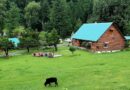 Himachal Hikes Rest House Rates to Ease Cash Crunch