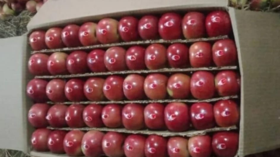 Himachal Govt for universal carton, Apple to be sold on the basis of weight in first yrs Himachal Govt for universal carton, Apple to be sold on the basis of weight in first yrs HIMACHAL HEADLINES