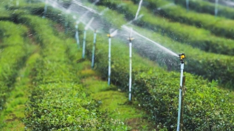 Ambitious irrigation schemes of Himachal will be taken up with the Centre: Mukesh Agnihotri HIMACHAL HEADLINES