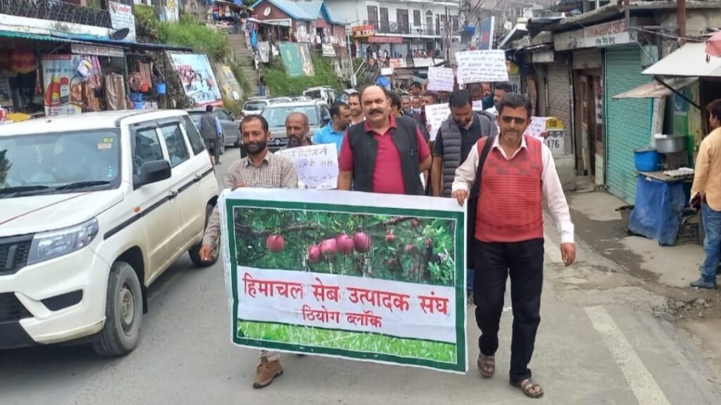 Himachal Seb Utpadak Sangh seeks mandatory implementation of universal carton HIMACHAL HEADLINES