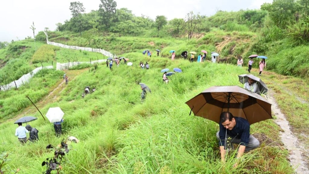 Van Mahotsav celebrated in Nauni University , 4000 saplings to be planted in the campus HIMACHAL HEADLINES