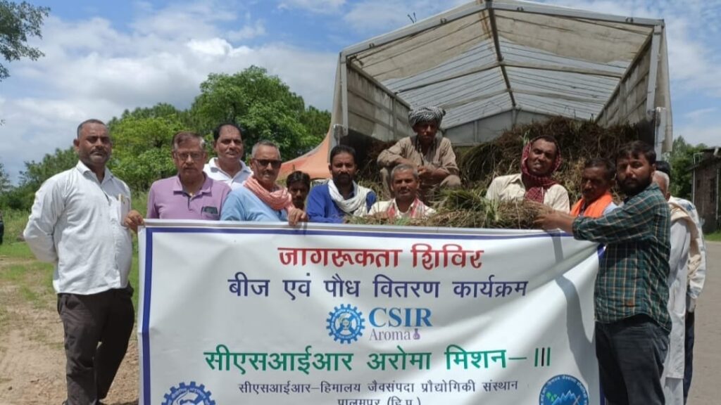 Himachal's Aroma Mission Boosts Fragrant Crop Farming HIMACHAL HEADLINES