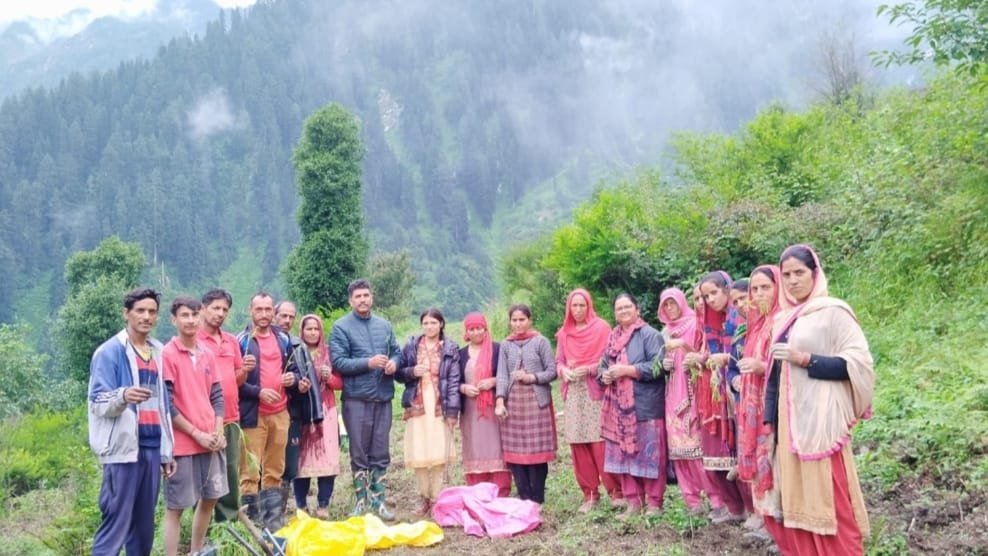CSIR- IHBT Palampur helping farmers cultivate aromatic crops in vacant land HIMACHAL HEADLINES