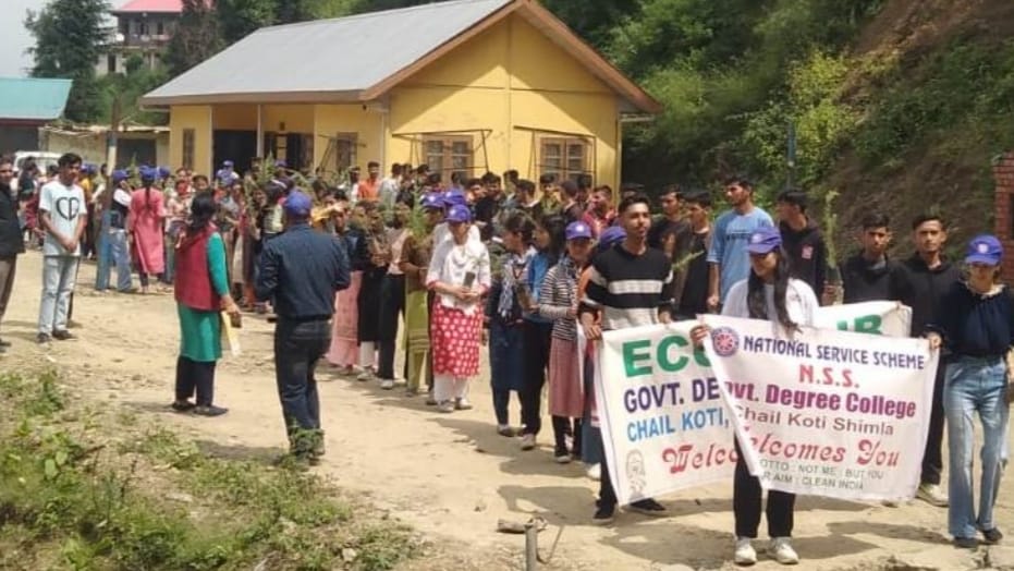 College students planted trees in the Koti forest under the Meri Mati Mera Desh campaign HIMACHAL HEADLINES