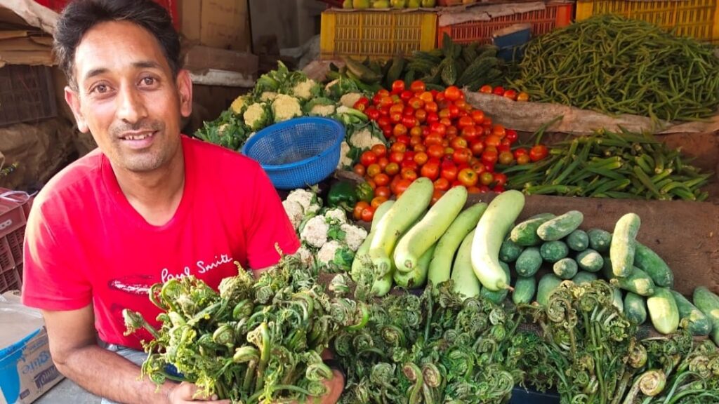Lungru is not only a vegetable but also a mine of medicinal properties Lungru is not only a vegetable but also a mine of medicinal properties HIMACHAL HEADLINES
