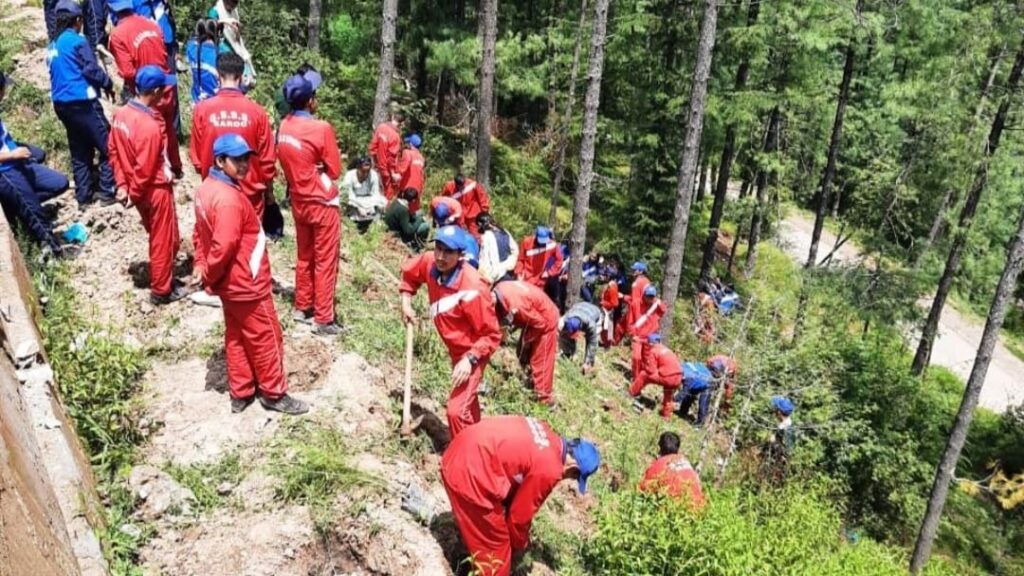 Children planted Deodar trees in Srog School under Meri Mati Mera Desh Abhiyan HIMACHAL HEADLINES