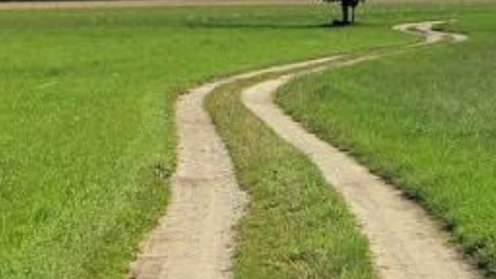 GoI approves up-gradation of 254 roads under PMGSY-3: Vikramaditya Singh GoI approves up-gradation of 254 roads under PMGSY-3: Vikramaditya Singh HIMACHAL HEADLINES