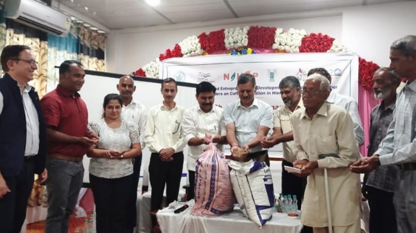 Efforts are being made towards crop diversification through coffee cultivation in Himachal HIMACHAL HEADLINES