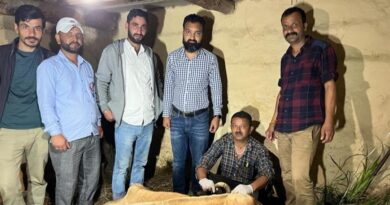 Animal Husbandry team sets an example by performing a cesarean on a cow HIMACHAL HEADLINES