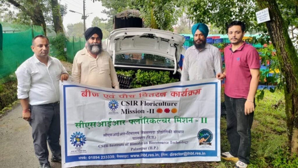 CSIR-IHBT Palampur under CSIR Floriculture Mission-II distributed 2.15 lakh Chrysanthemum to farmers HIMACHAL HEADLINES