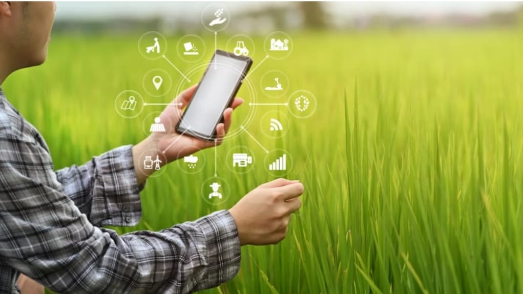 Himachal to roll out Sustainable food systems platform, workshop at Nauni University Himachal to roll out Sustainable food systems platform, workshop at Nauni University HIMACHAL HEADLINES