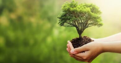 Online portal to promote innovative environmental initiatives HIMACHAL HEADLINES
