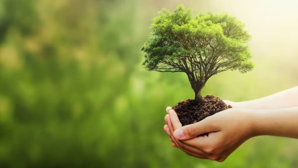 Online portal to promote innovative environmental initiatives Online portal to promote innovative environmental initiatives HIMACHAL HEADLINES