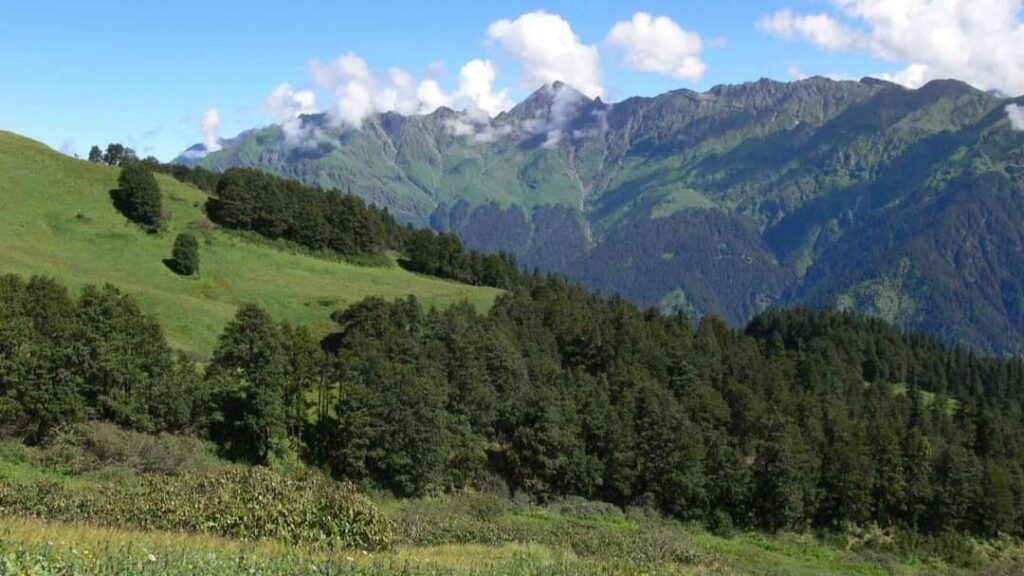 Forest corporation employees to get three percent DA, 100 Van Mitras to be recruited Forest corporation employees to get three percent DA, 100 Van Mitras to be recruited HIMACHAL HEADLINES