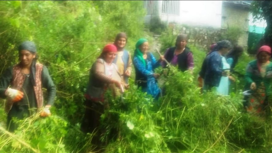 Women of Garpenya Panchayat started a cleanliness campaign on Gandhi Jayanti Women of Garpenya Panchayat started a cleanliness campaign on Gandhi Jayanti HIMACHAL HEADLINES