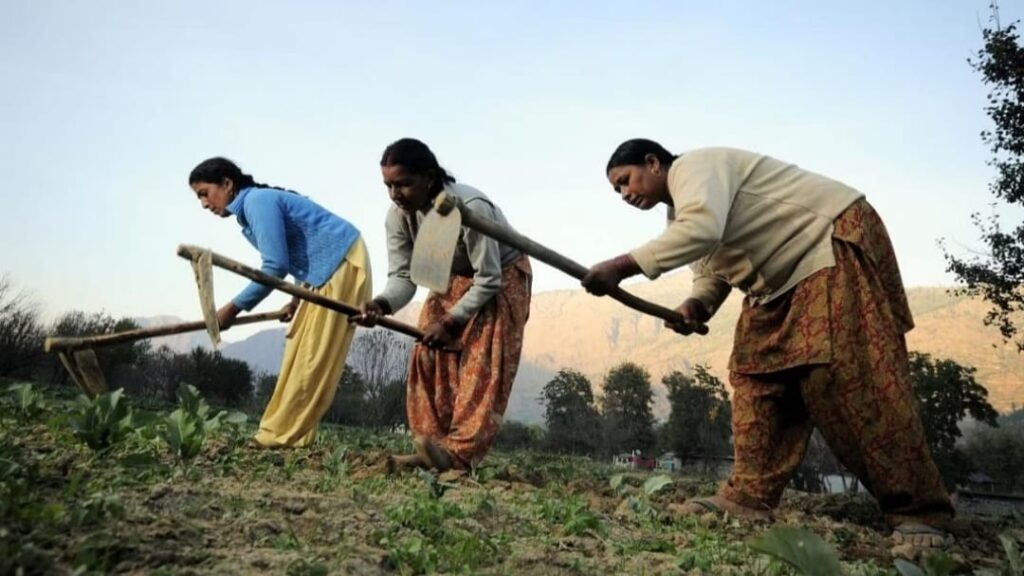 40 new schemes will revolutionize the cooperative sector in Himachal 40 new schemes will revolutionize the cooperative sector in Himachal HIMACHAL HEADLINES