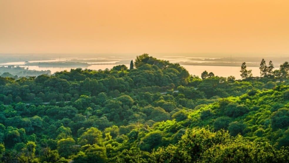 Local communities can play an important role in conserving forest wealth: Sukhu HIMACHAL HEADLINES
