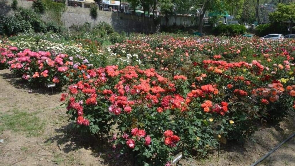 Nauni varsity to host Agri Fest for school students on Oct 26 Nauni varsity to host Agri Fest for school students on Oct 26 HIMACHAL HEADLINES