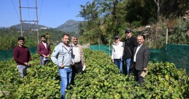 International experts visit Nauni and nearby areas to explore cooperation for kiwifruit HIMACHAL HEADLINES