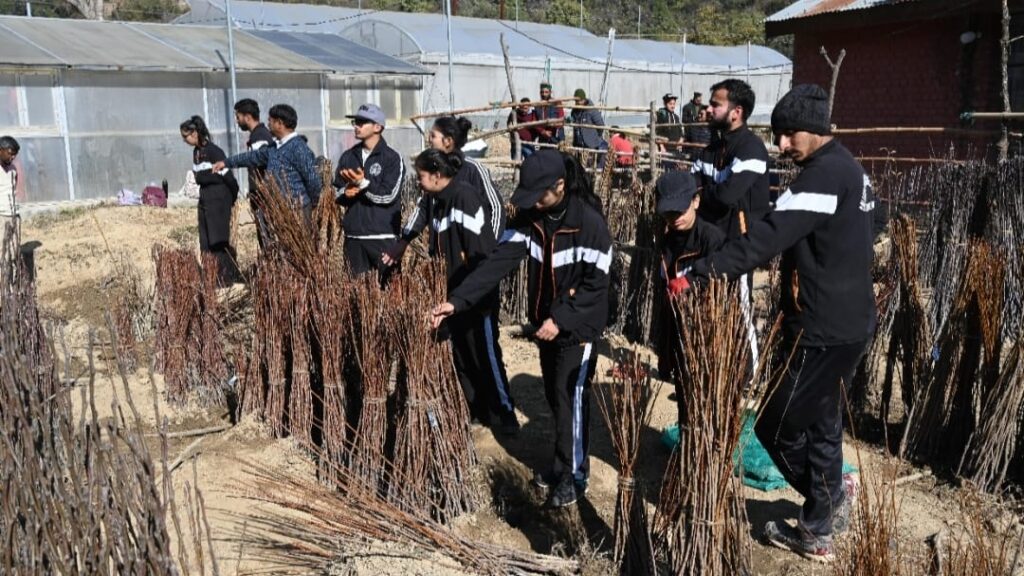 Nauni Varsity to hold sale of fruit plants from December 11, Sale at Bajaura to commence from December 2 Nauni Varsity to hold sale of fruit plants from December 11, Sale at Bajaura to commence from December 2 HIMACHAL HEADLINES