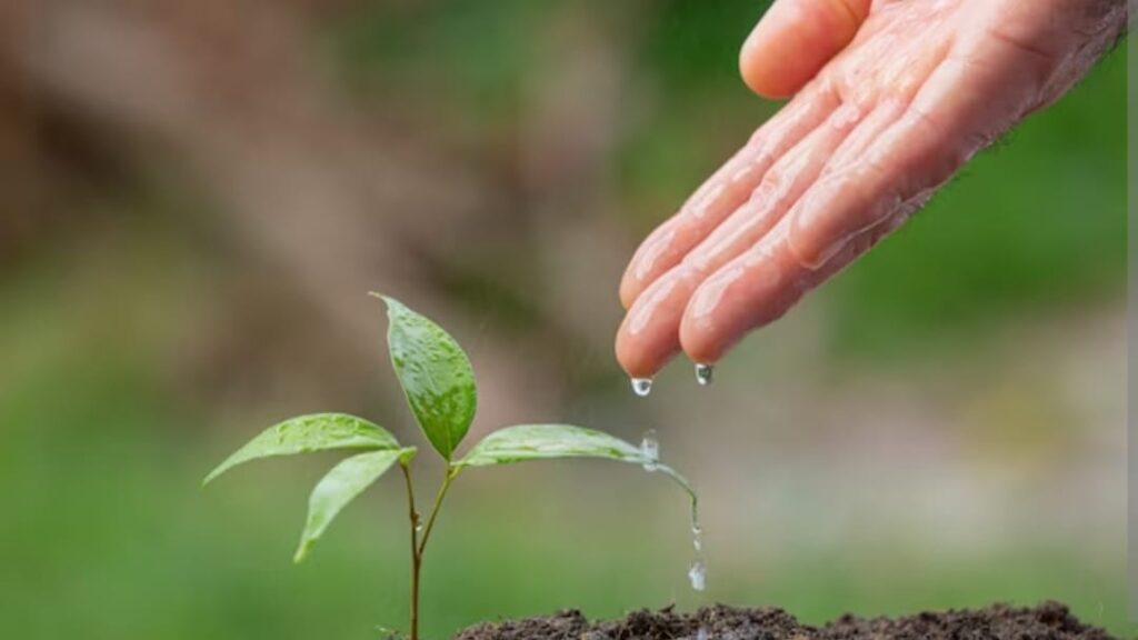 Himachal's Jal Se Krishi Ko Bal Yojna Himachal's Jal Se Krishi Ko Bal Yojna HIMACHAL HEADLINES
