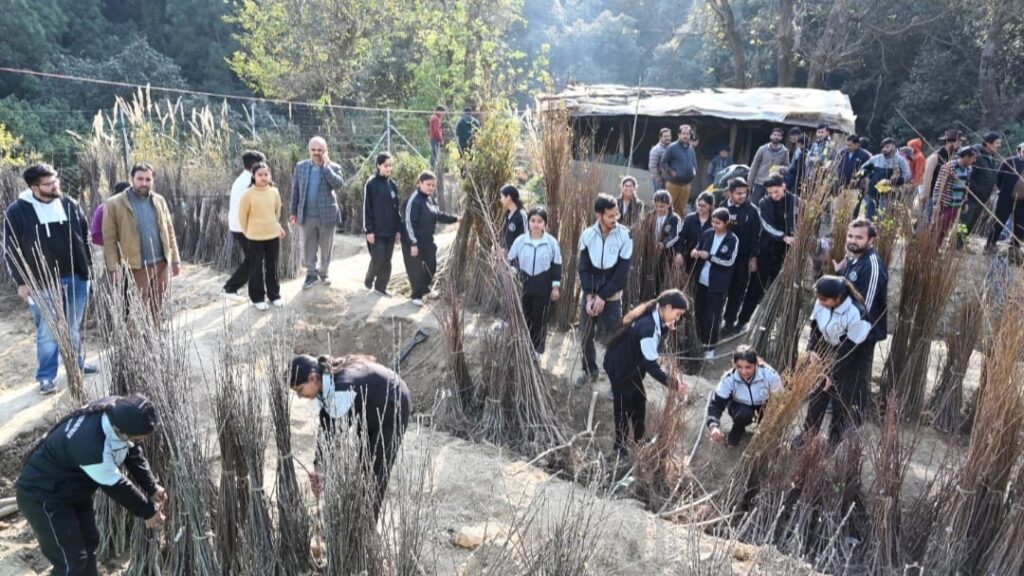 Annual temperate fruit plants sale begins at Nauni and research stations, Over 22,324 plants sold to 782 farmers Annual temperate fruit plants sale begins at Nauni and research stations, Over 22,324 plants sold to 782 farmers HIMACHAL HEADLINES