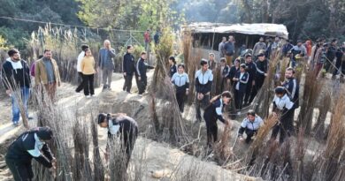 Annual temperate fruit plants sale begins at Nauni and research stations, Over 22,324 plants sold to 782 farmers HIMACHAL HEADLINES