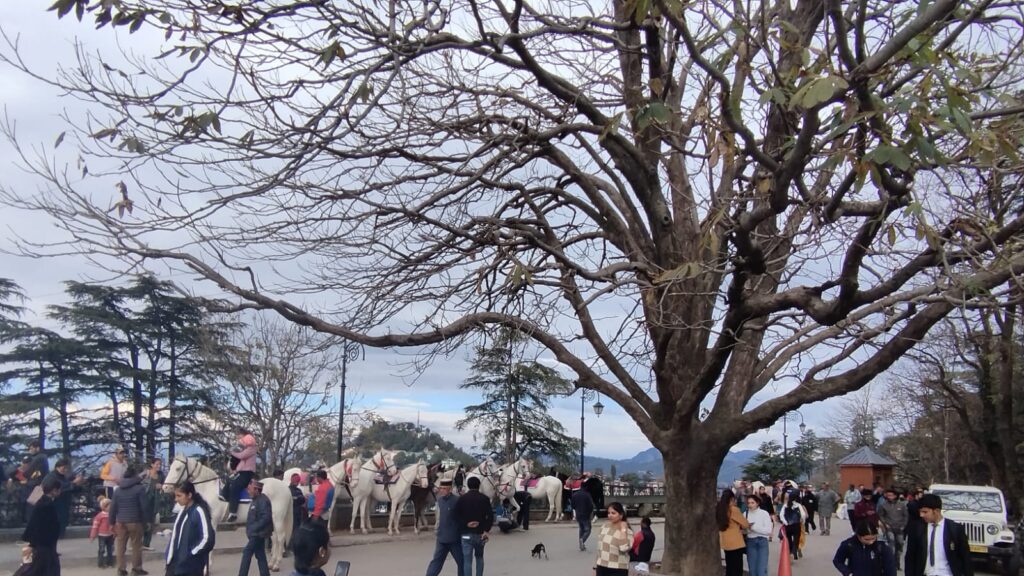 Farmers & Hospitality Industry waiting for rain and snow keenly, weathermen tight-lipped HIMACHAL HEADLINES
