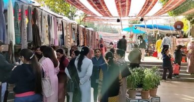 Himcraft and Himachali cuisine are in great demand at Dilli Haat HIMACHAL HEADLINES