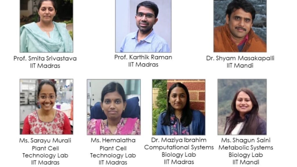 IIT Madras & IIT Mandi researchers metabolically engineer plant cells to increase production of Anti-Cancer Drug Camptothecin HIMACHAL HEADLINES